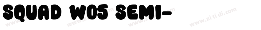 Squad W05 Semi字体转换